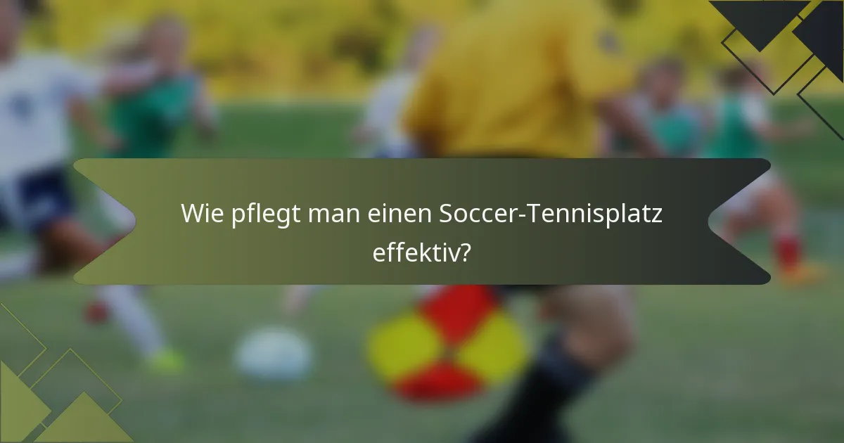 Wie pflegt man einen Soccer-Tennisplatz effektiv?